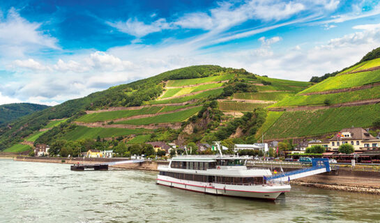 HOTEL ZUM KRONPRINZEN Oberwesel