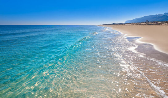 HOTEL HUERTO DEL CURA (B&B) Elche