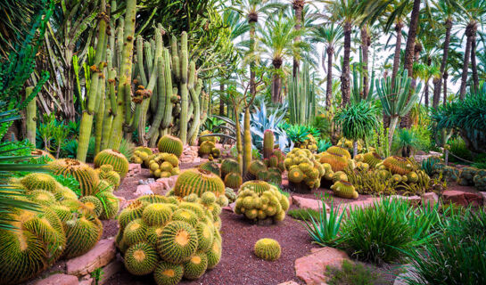 HOTEL HUERTO DEL CURA (B&B) Elche