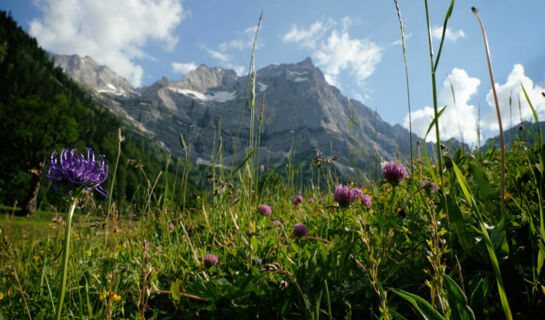 DIE ENG - DAS NATURHOTEL AM GROßEN AHORNBODEN Hinterriß