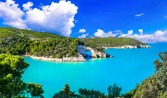 HOTEL PINETA San Menaio G.co (FG)