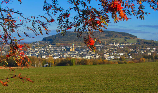 HOTEL WILDER MANN (B&B) Annaberg-Buchholz