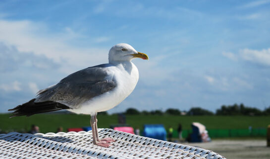 HOTEL & RESTAURANT NORDSTERN - WELLNESS AM MEER Neuharlingersiel