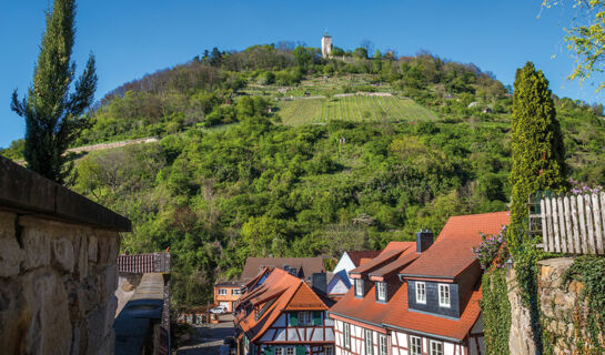 LANDGASTHOF WALDSCHLÖSSCHEN Lindenfels