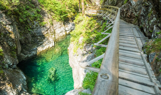 AUBERGE DES GORGES Servoz