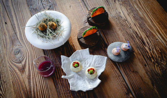 AUBERGE DES GORGES Servoz