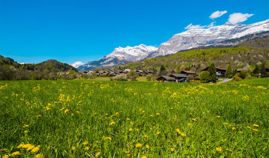 AUBERGE DES GORGES Servoz