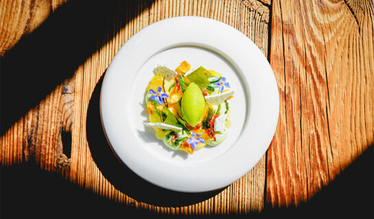 AUBERGE DES GORGES Servoz