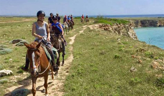 HOTEL RIBOT Arborea (OR)