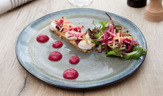 HOTEL MERCURE CASTRES L'OCCITAN Castres