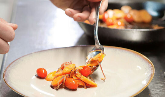 HOTEL MERCURE CASTRES L'OCCITAN Castres