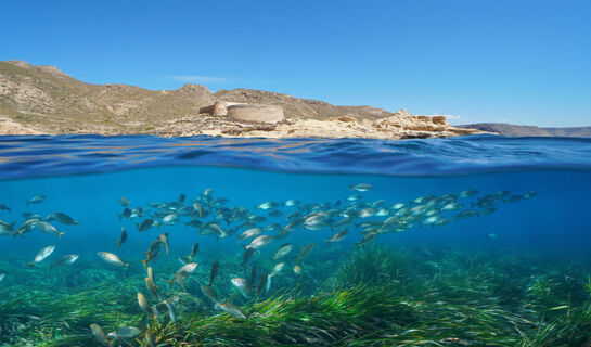HOTEL DE NATURALEZA RODALQUILAR Rodalquilar - Nijar