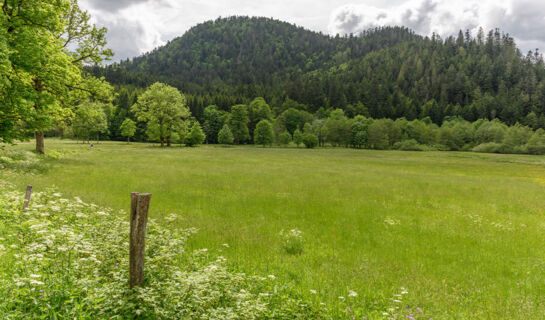 L'AUBERGADE Gérardmer