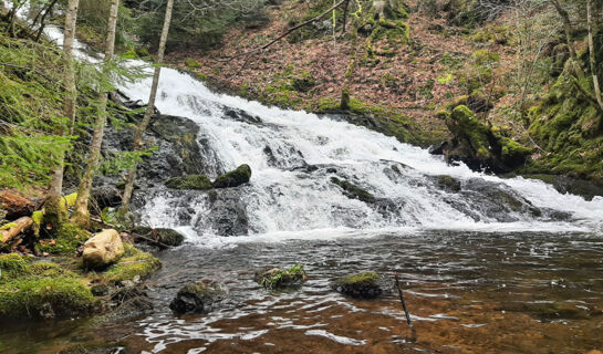 L'AUBERGADE Gérardmer