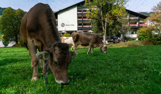 HOTEL SÄNTIS LODGE (B&B) Unterwasser