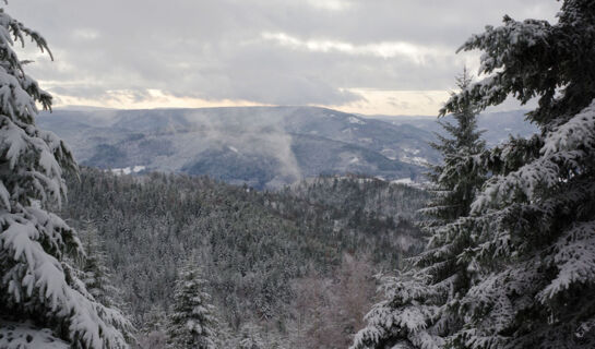 HOTEL LA VIGOTTE Girmont-Val-d'Ajol