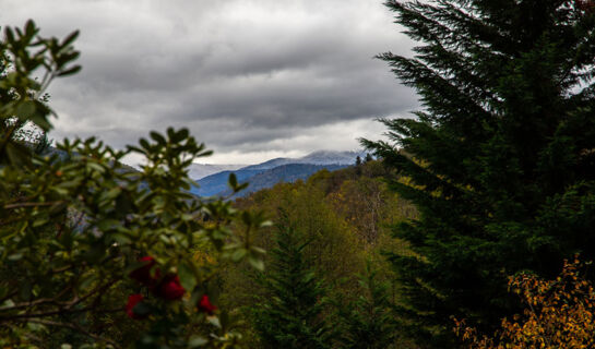 HOTEL LA VIGOTTE Girmont-Val-d'Ajol