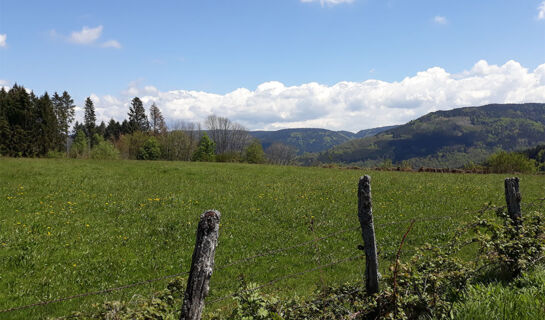 HOTEL LA VIGOTTE Girmont-Val-d'Ajol