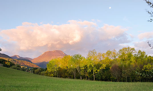 TENUTA GRIMALDI WINE RESORT (B&B) Matelica