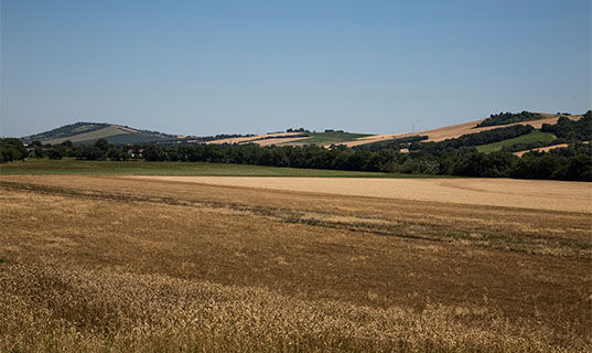 TENUTA GRIMALDI WINE RESORT (B&B) Matelica
