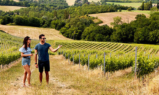 TENUTA GRIMALDI WINE RESORT (B&B) Matelica