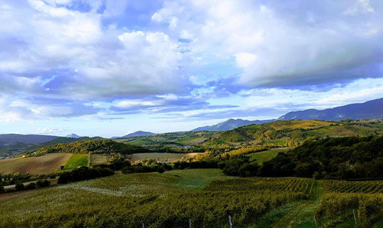 TENUTA GRIMALDI WINE RESORT (B&B) Matelica