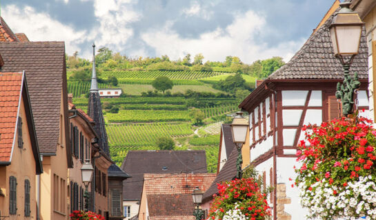 AU RELAIS D'ALSACE Rouffach