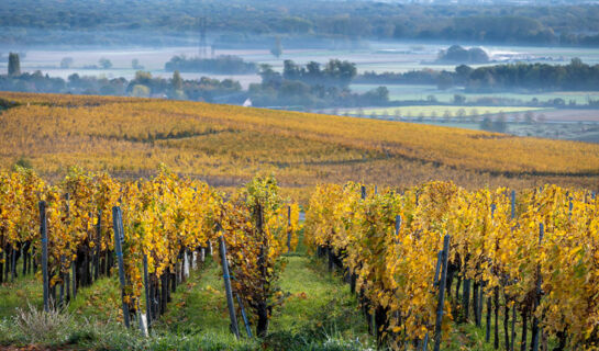 AU RELAIS D'ALSACE Rouffach