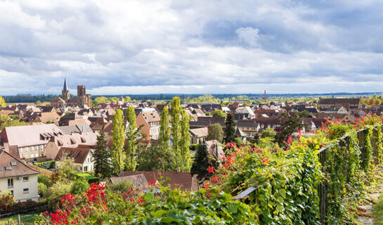 AU RELAIS D'ALSACE Rouffach