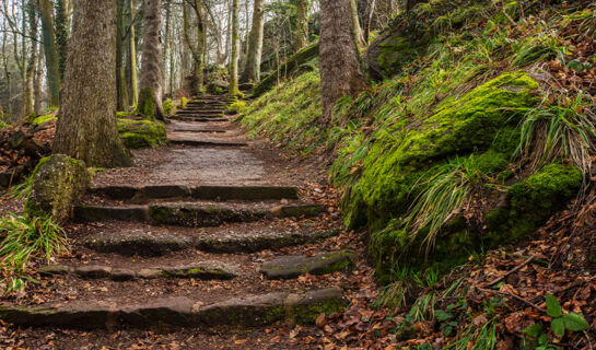 SUD HÔTEL Huttenheim