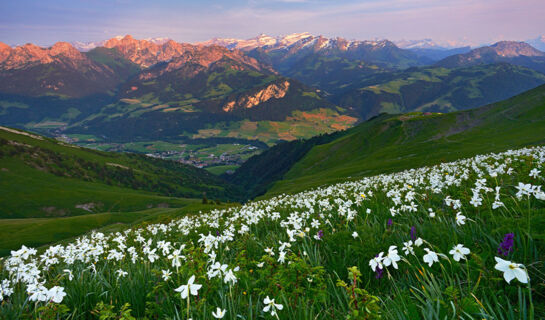 HÔTEL DE VILLE DE CHÂTEAU-D'OEX (B&B) Château-d'Oex