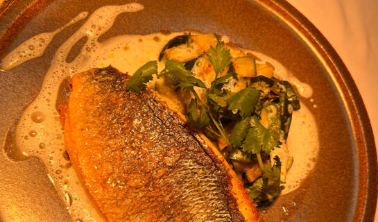 HÔTEL LE REGINA Canet-en-Roussillon