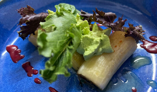 HÔTEL LE REGINA Canet-en-Roussillon