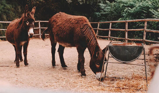 AGRIRESORT LEANO Piazza Armerina