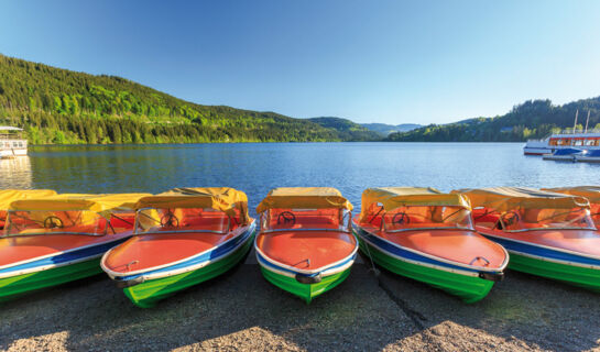 CHALET MOOS (B&B) Todtmoos