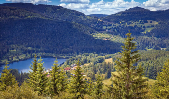 CHALET MOOS (B&B) Todtmoos