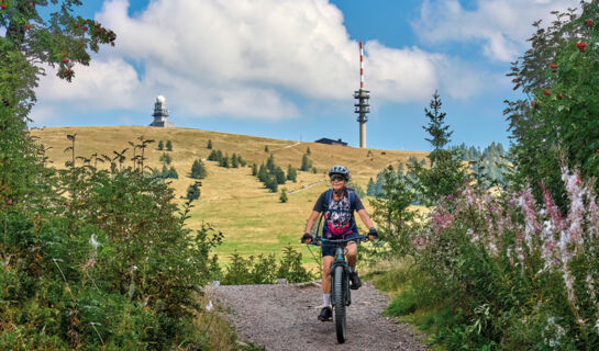 CHALET MOOS (B&B) Todtmoos