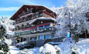 HÔTEL LES TRIOLETS (B&B) Châtel