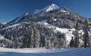 AUBERGE DE LA COMBAL Ormont-Dessous