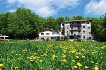 HOTEL LE MACINAIE (B&B) Castel del Piano (GR)