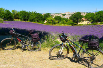 LE PRINTEMPS Montélimar