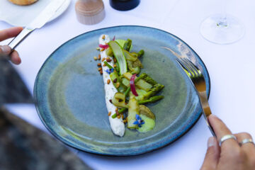 HOTEL MERCURE CASTRES L'OCCITAN Castres