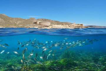 HOTEL DE NATURALEZA RODALQUILAR Rodalquilar - Nijar