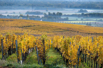 AU RELAIS D'ALSACE Rouffach