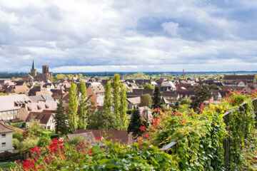 AU RELAIS D'ALSACE Rouffach