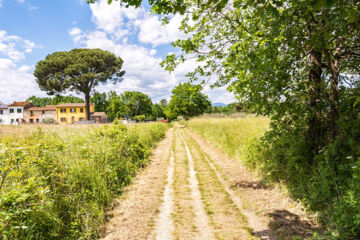 HOTEL LE CERBAIE (B&B) Altopascio (LU)