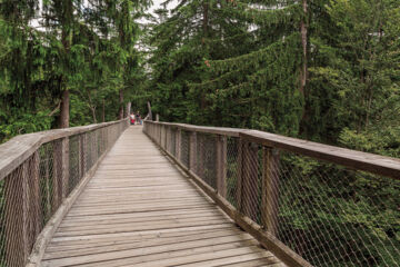 DER WIESHOF St. Oswald-Riedlhütte