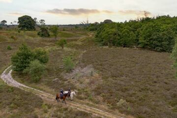FLETCHER HOTEL-RESTAURANT DE MALLEJAN Vierhouten