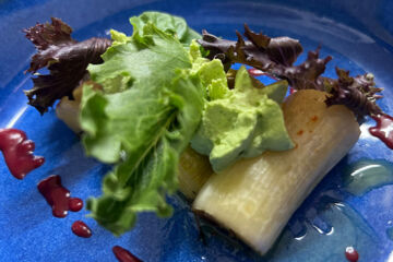 HÔTEL LE REGINA Canet-en-Roussillon