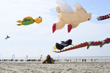 LE DOMAINE DE WAIL Wail